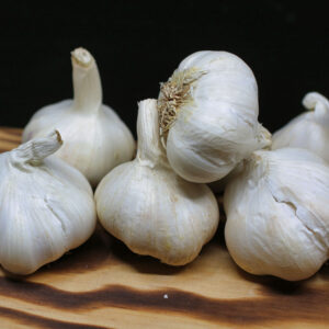 Garlic