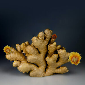 Ginger