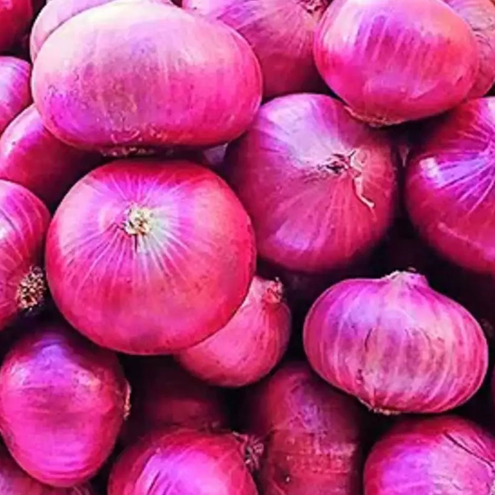 Onion