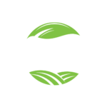 Sanad Traders