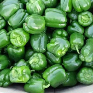Capsicum