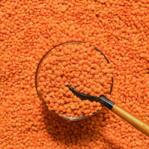 Lentil (Masoor)