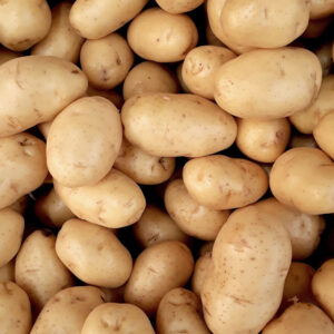 Potato
