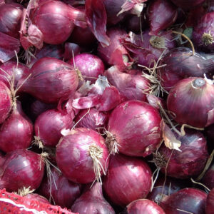 Sukhsagar Onion